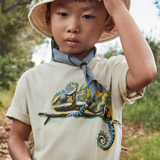 Boy's Chameleon Graphic Tee