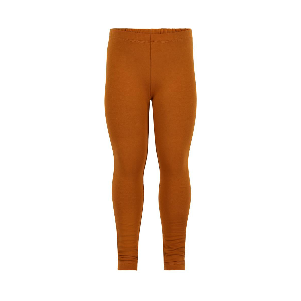 Pumpkin Spice Leggings