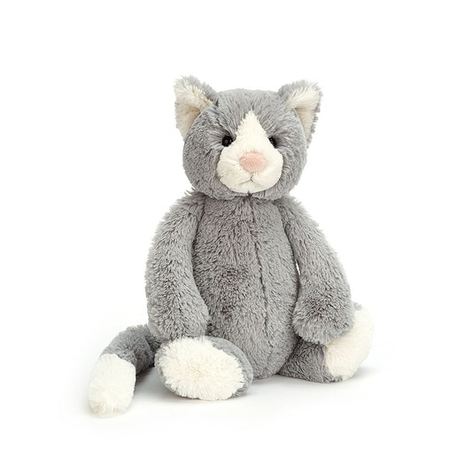 Bashful Grey Kitty