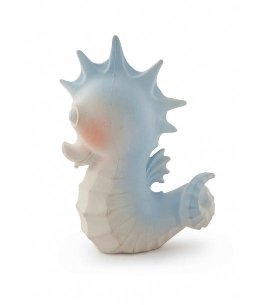 Vintage Seahorse Bath Toy